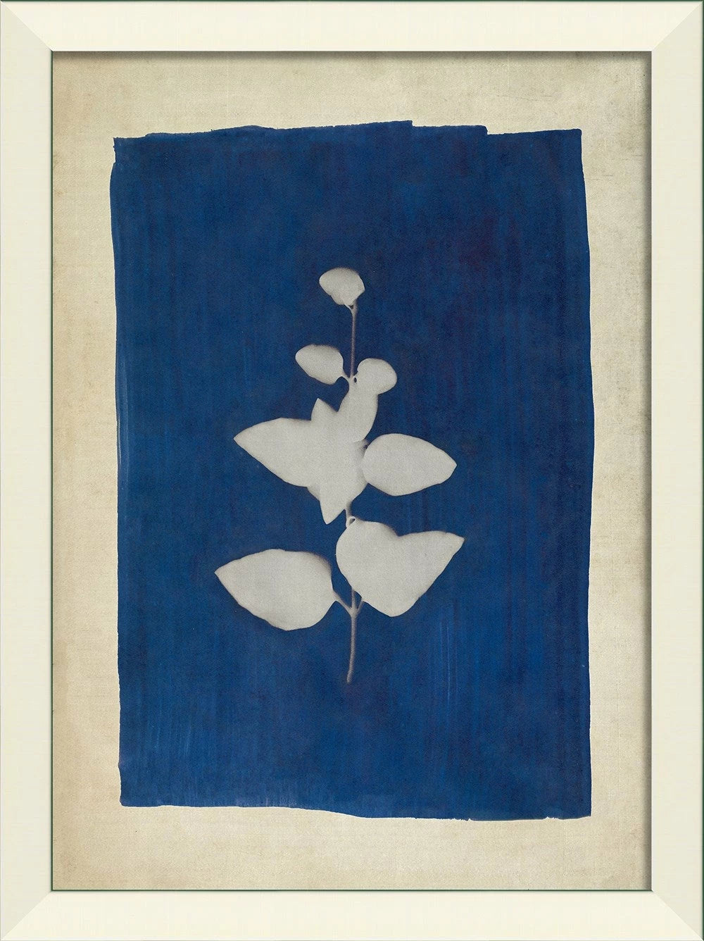 Plants on Blue Art Series