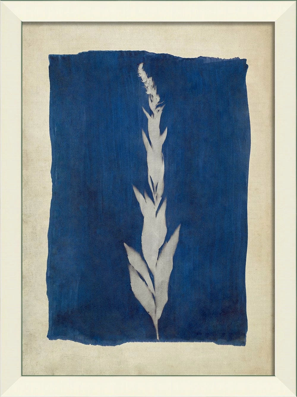 Plants on Blue Art Series