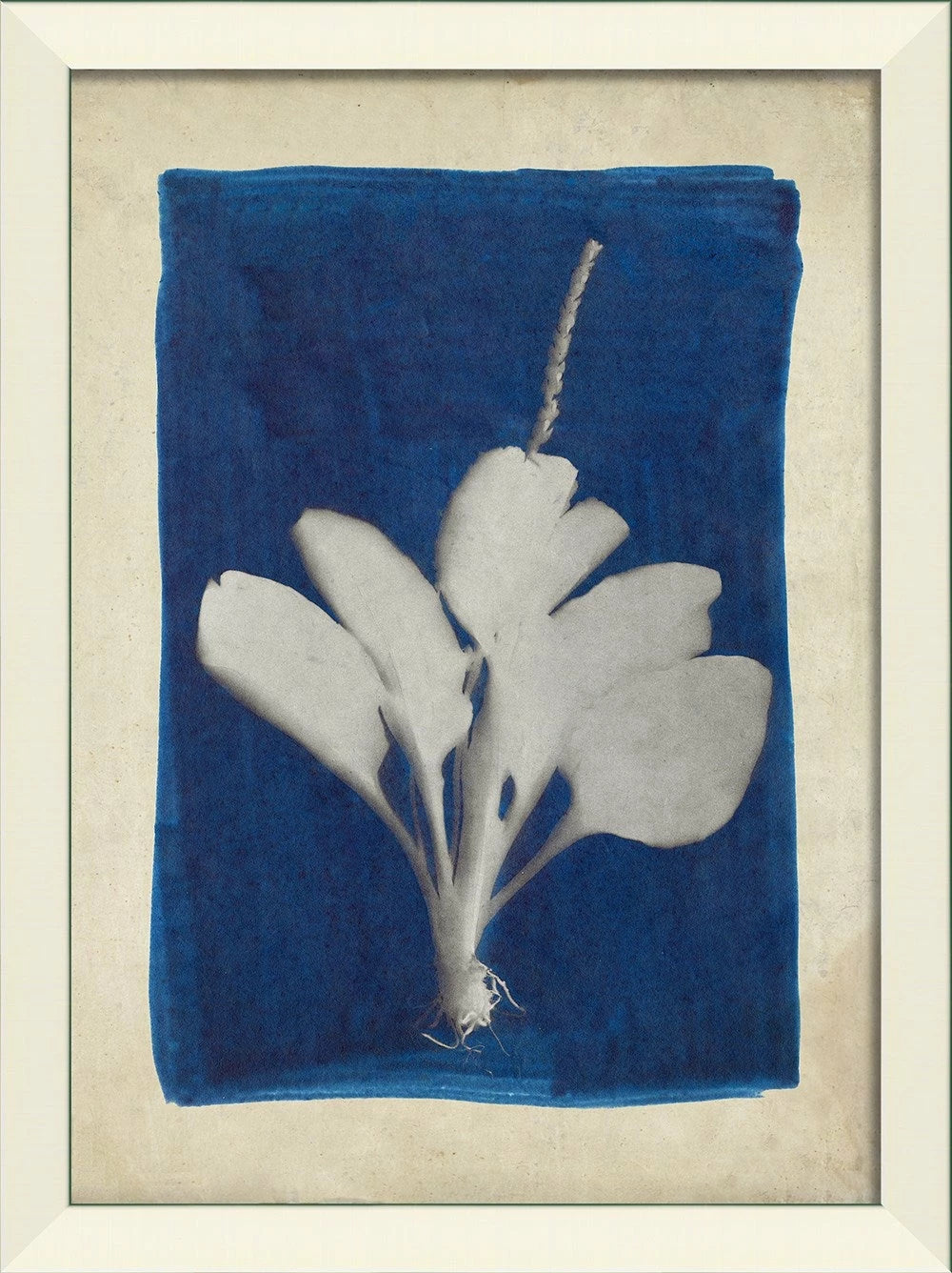 Plants on Blue Art Series