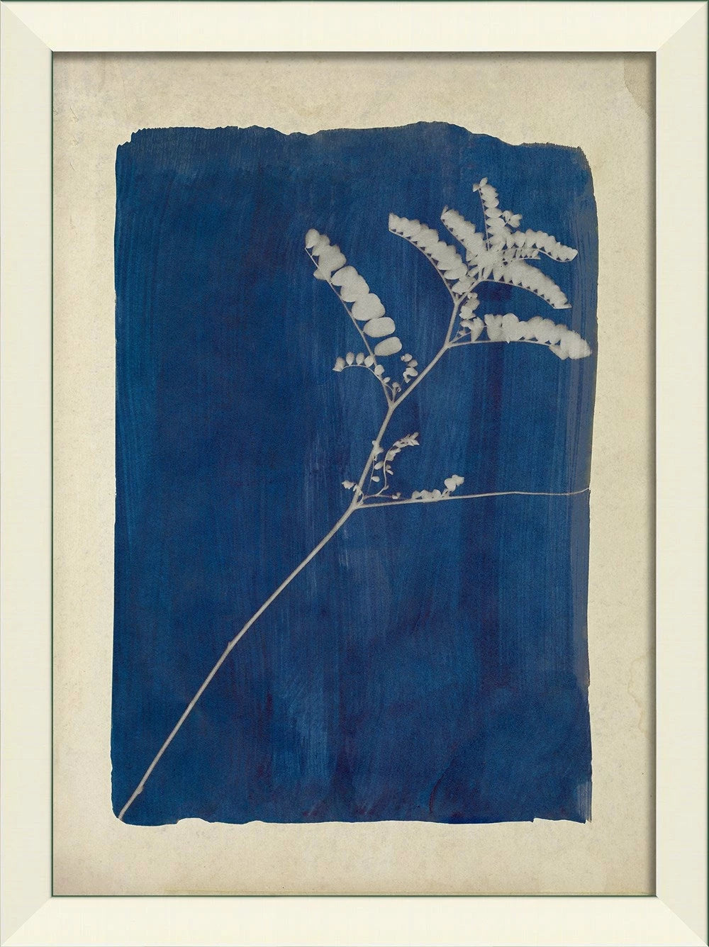 Plants on Blue Art Series