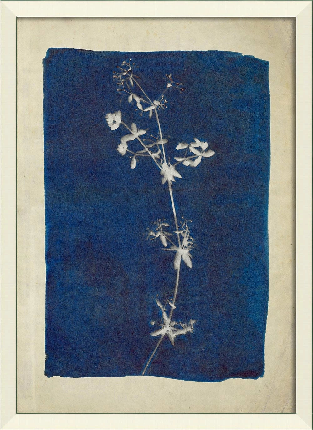 Plants on Blue Art Series
