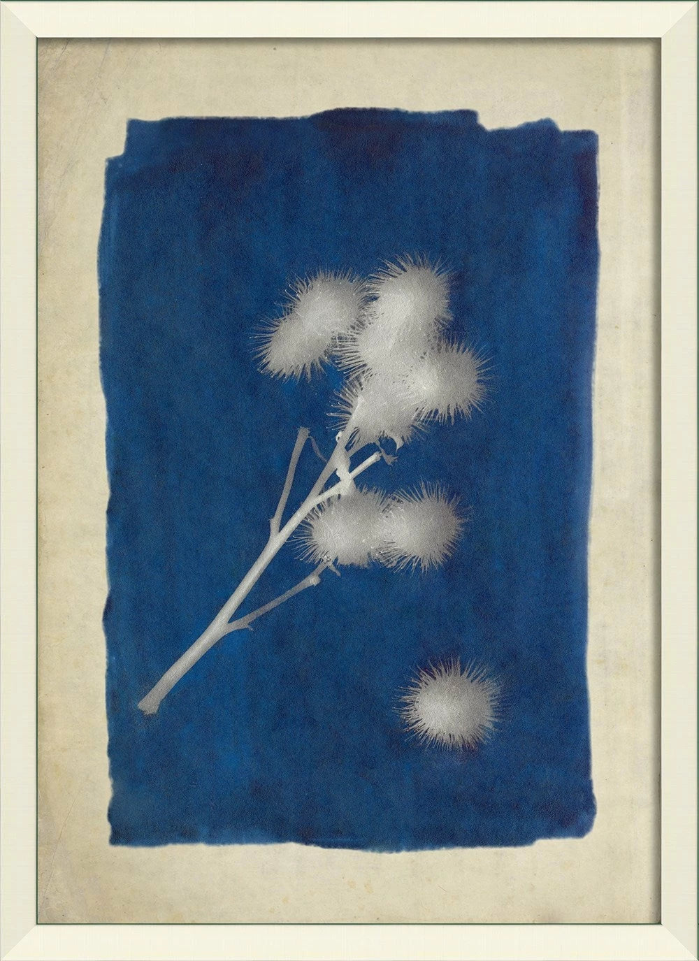 Plants on Blue Art Series