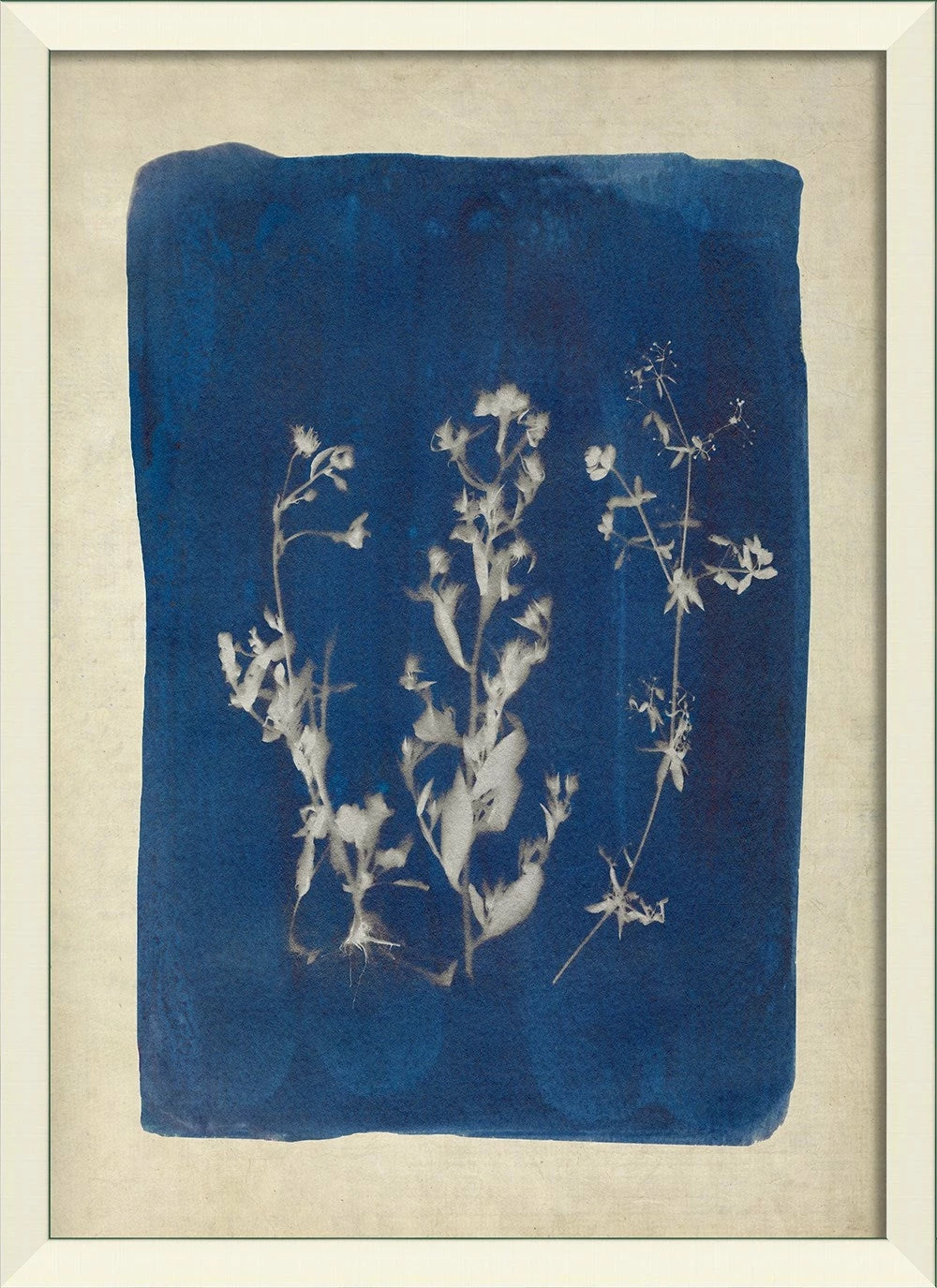 Plants on Blue Art Series
