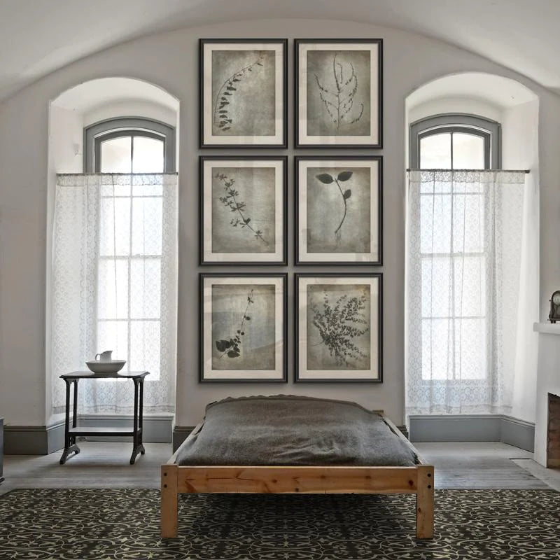 Chiaroscuro Plant Art Series