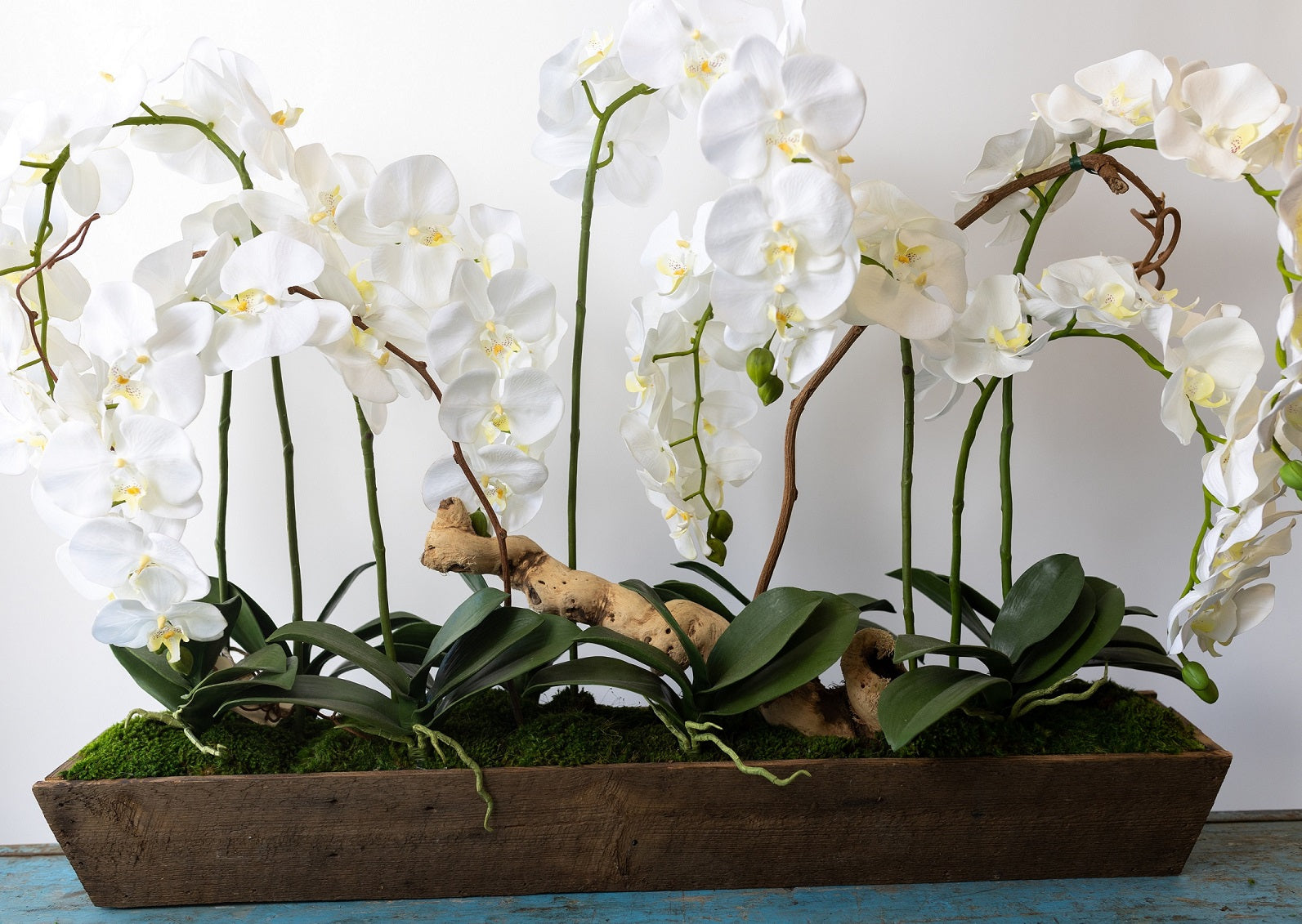 Seven Bloom Orchid Planter