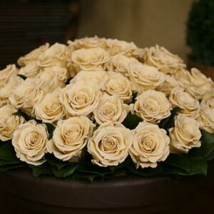 Customizable Hydranga and Rose Preserved Floral Arrangement