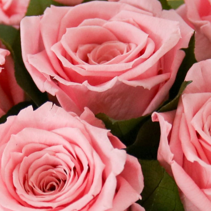 Preserved Birch Floral Topiary Arrangement in Custom Colors