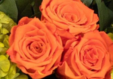 Preserved Birch Floral Topiary Arrangement in Custom Colors