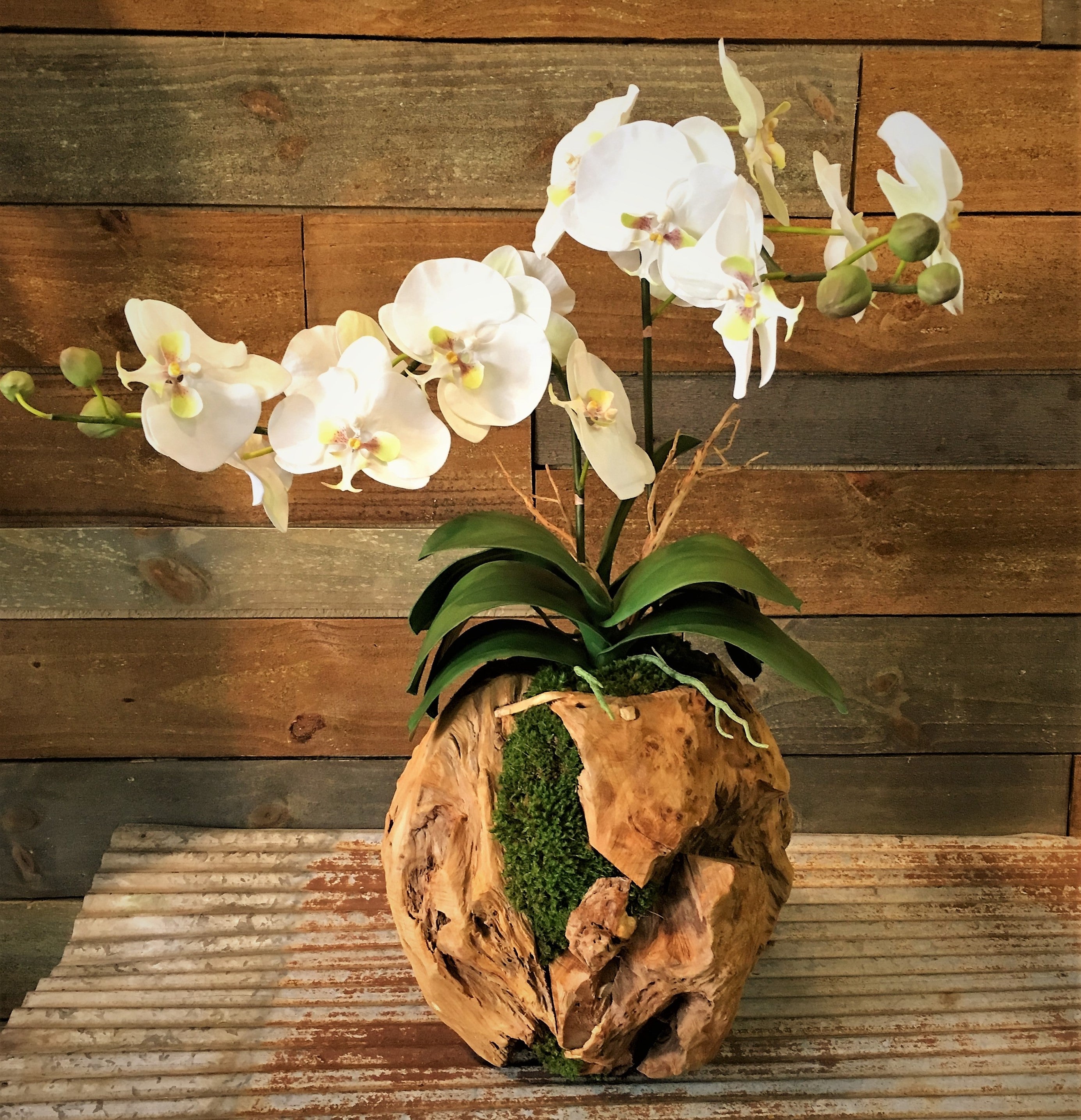 Preserved Double Orchid in a Hand Crafted Wood Sphere
