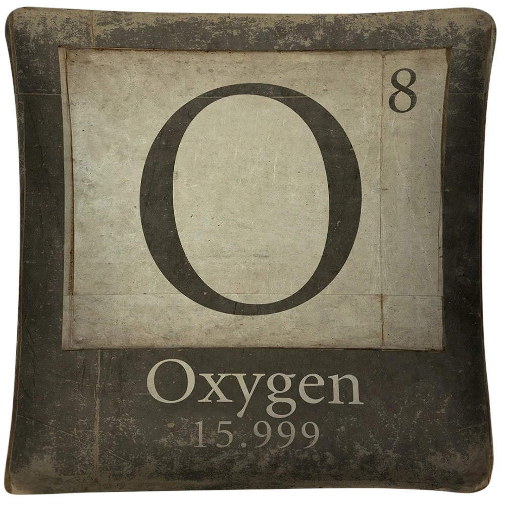 vintage 'O for Oxygen' throw pillow - Interior Mojo llc