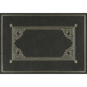 omnibus blank placemat & deskmat - Interior Mojo llc