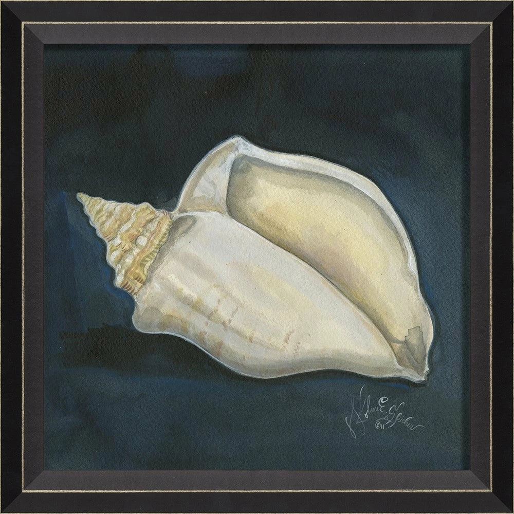 Signed Seashell Art Collelction