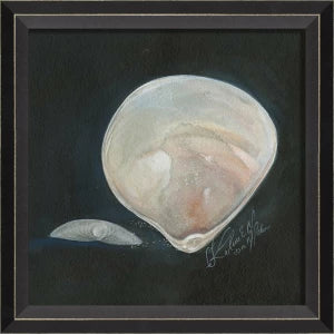 Signed Seashell Art Collelction