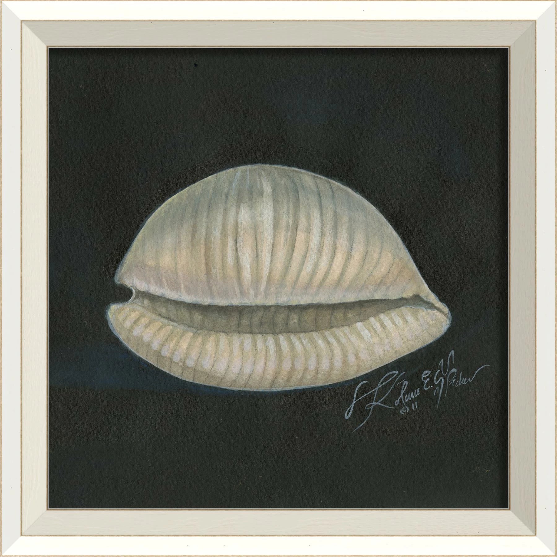 Signed Seashell Art Collelction