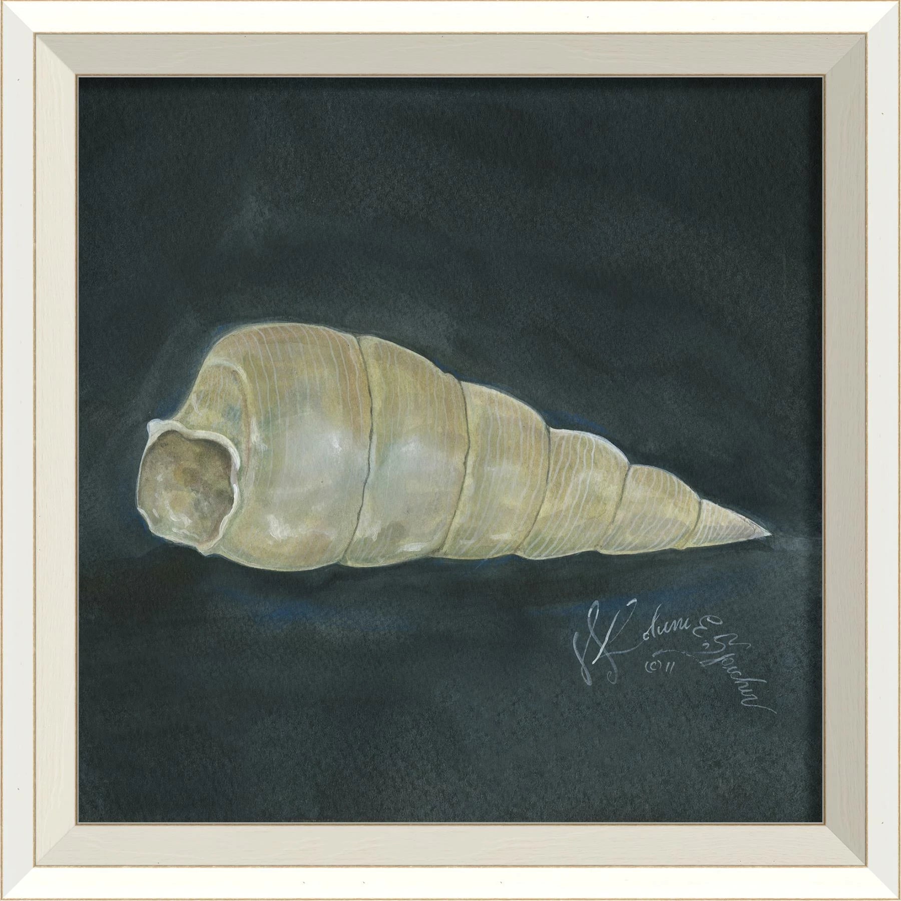 Signed Seashell Art Collelction