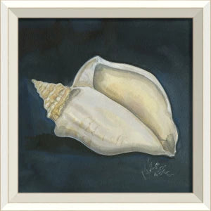 Signed Seashell Art Collelction