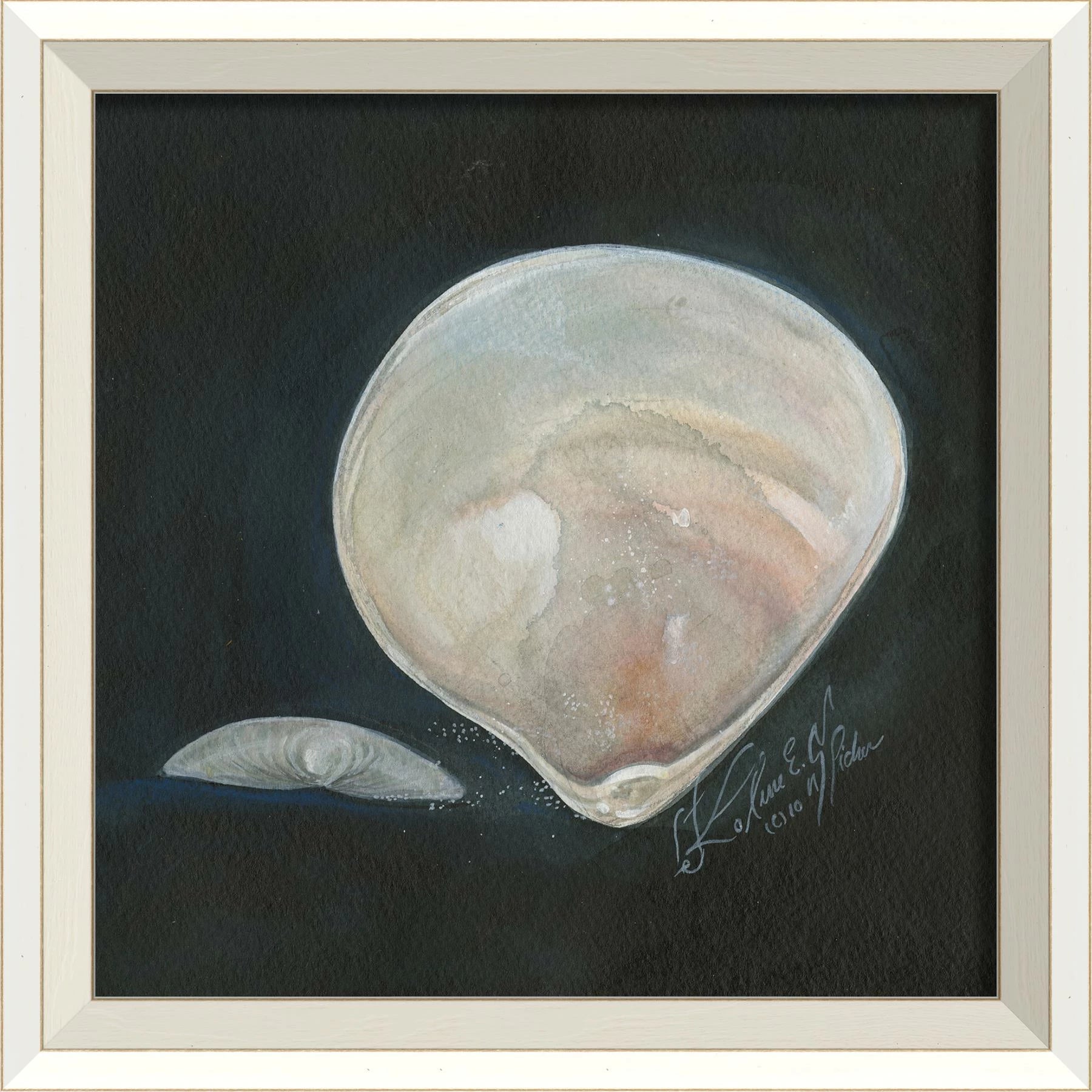 Signed Seashell Art Collelction