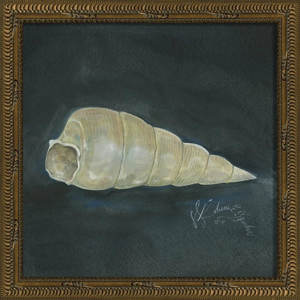 Signed Seashell Art Collelction