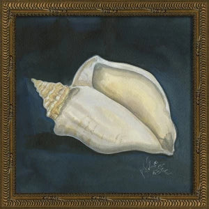 Signed Seashell Art Collelction