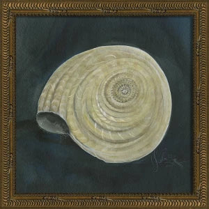 Signed Seashell Art Collelction