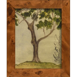 Signed, Tree Species Art Collection