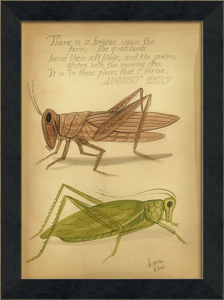 Grasshoppers 1837 Art - Signed Edition by Kolene Spicher | Vintage Natural History