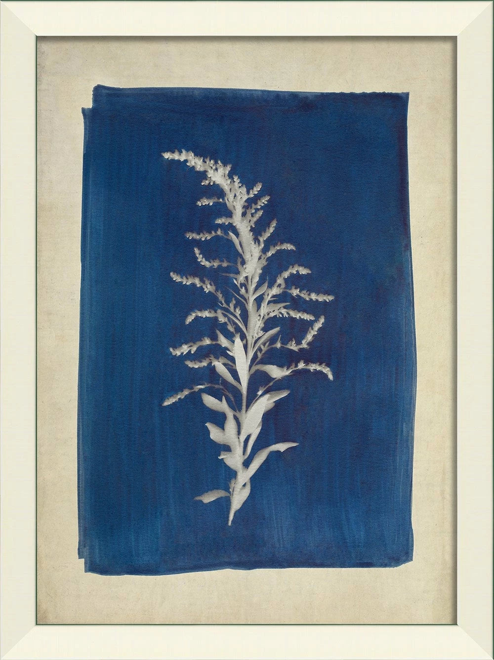 Plants on Blue Art Collection