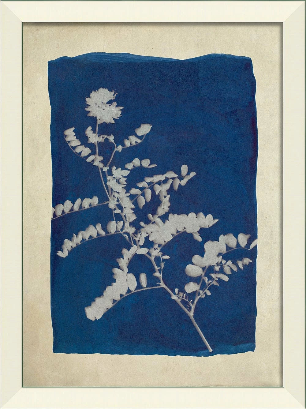 Plants on Blue Art Collection