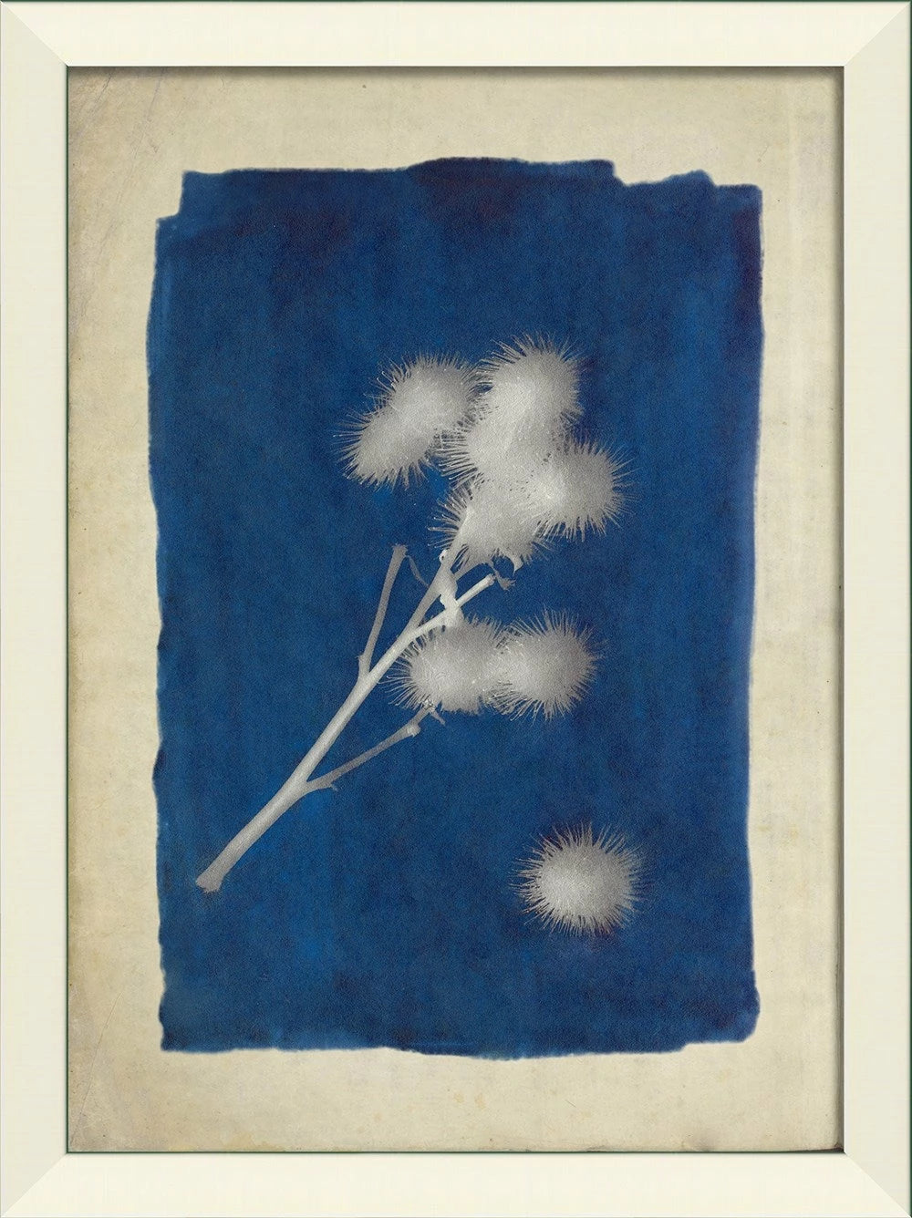 Plants on Blue Art Collection