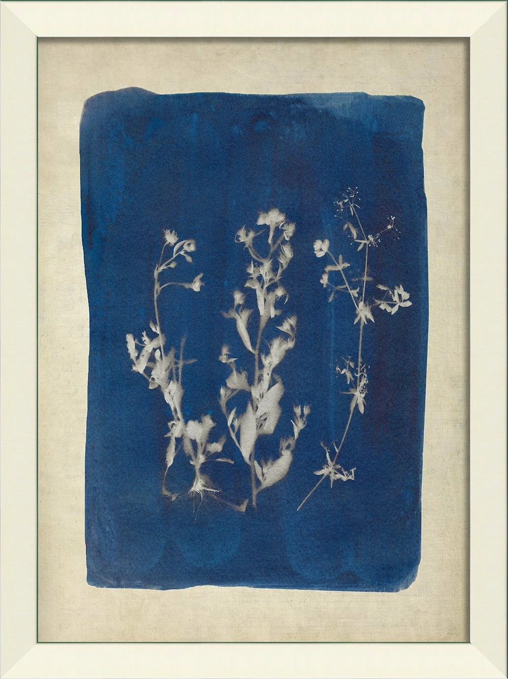 Plants on Blue Art Collection