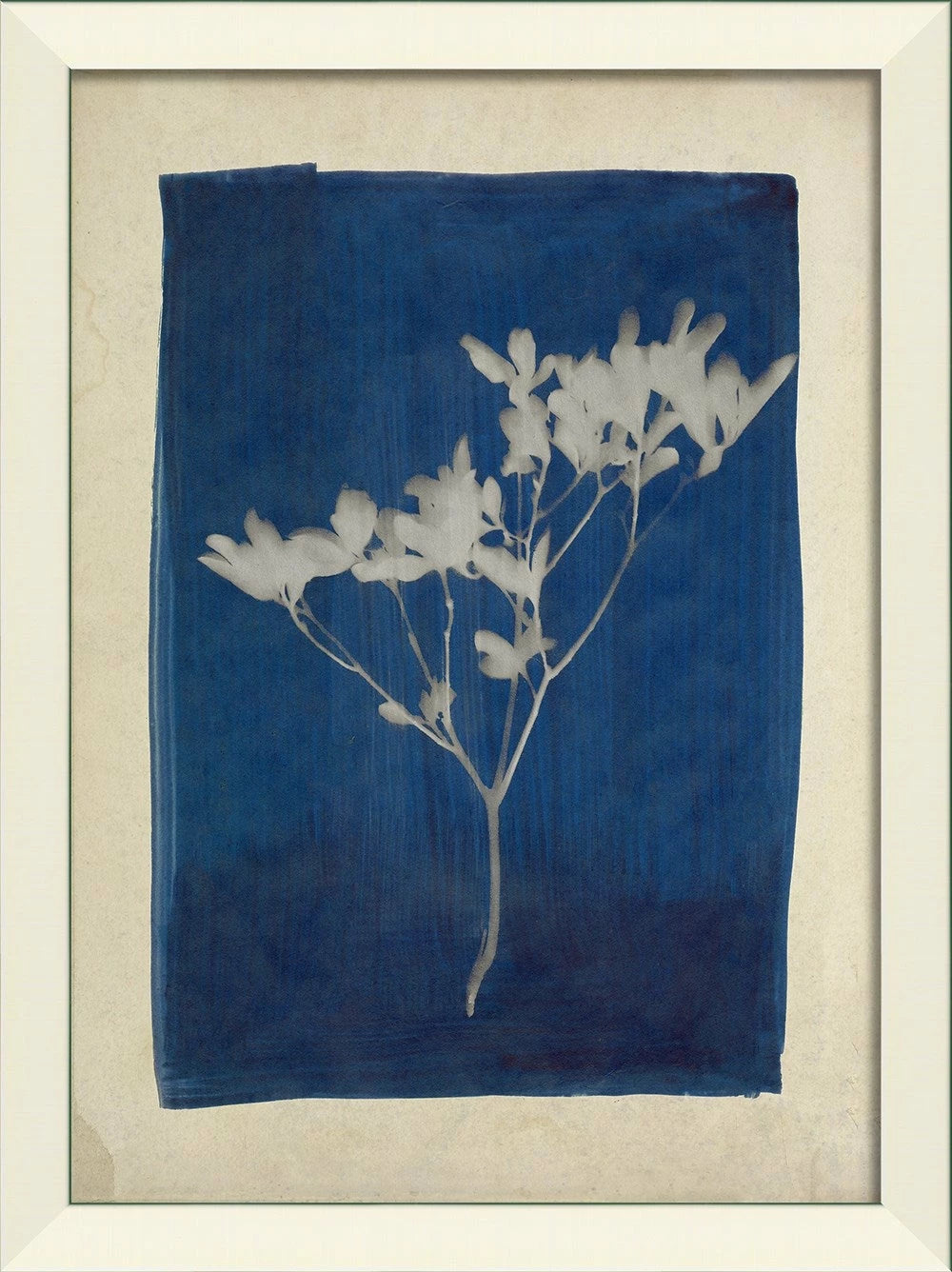 Plants on Blue Art Collection