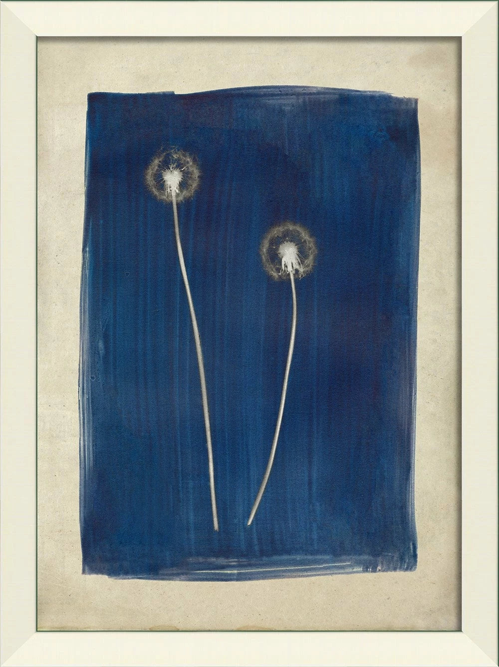 Plants on Blue Art Collection