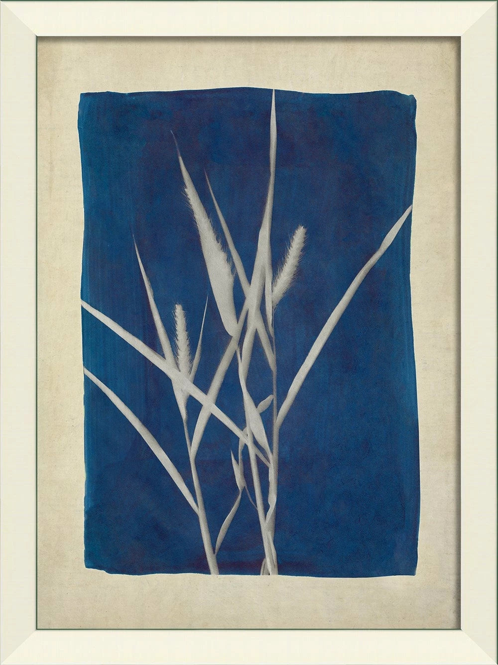 Plants on Blue Art Collection