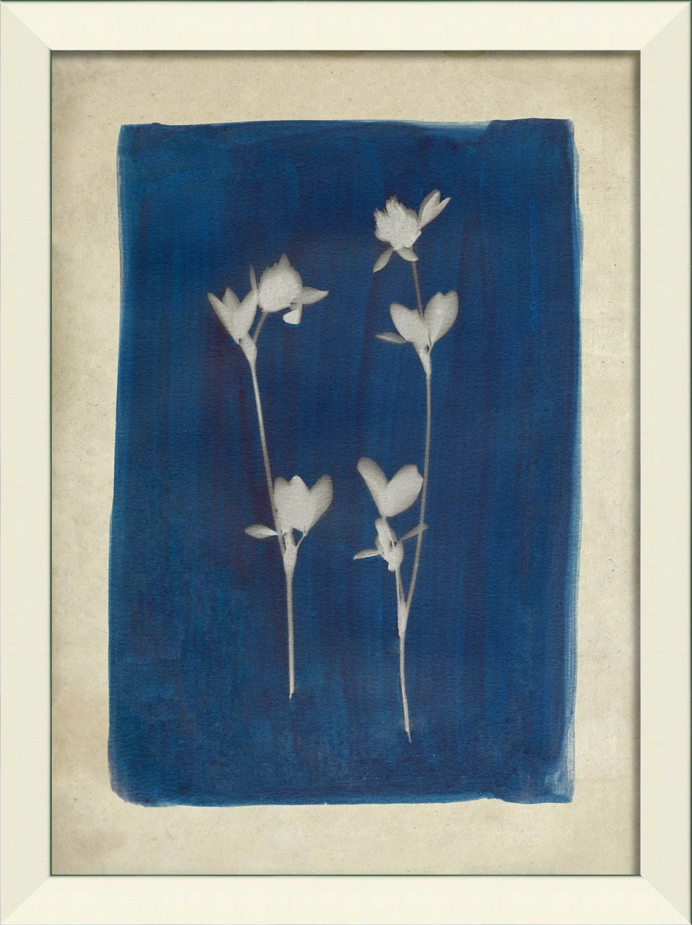 Plants on Blue Art Collection