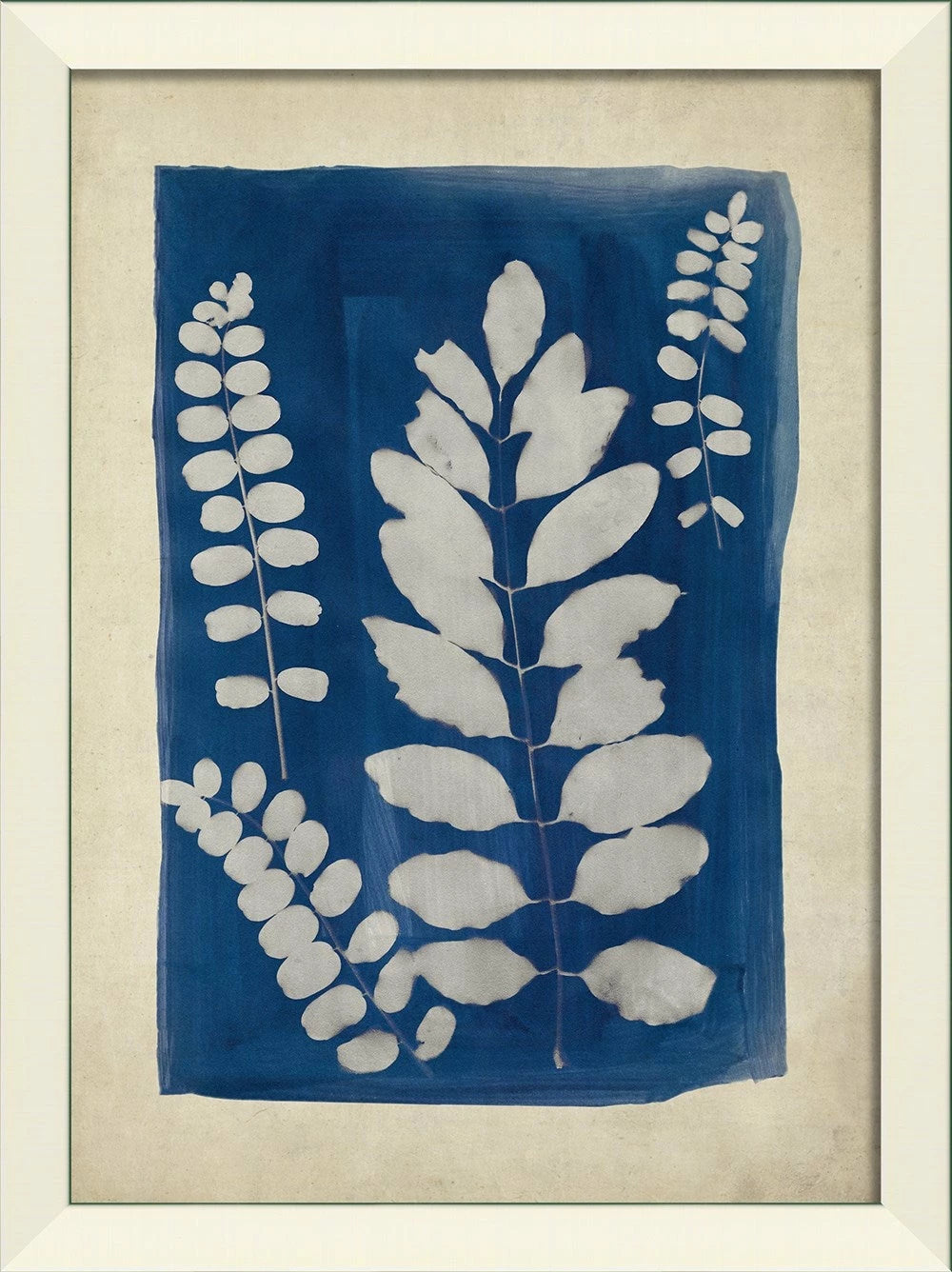 Plants on Blue Art Collection