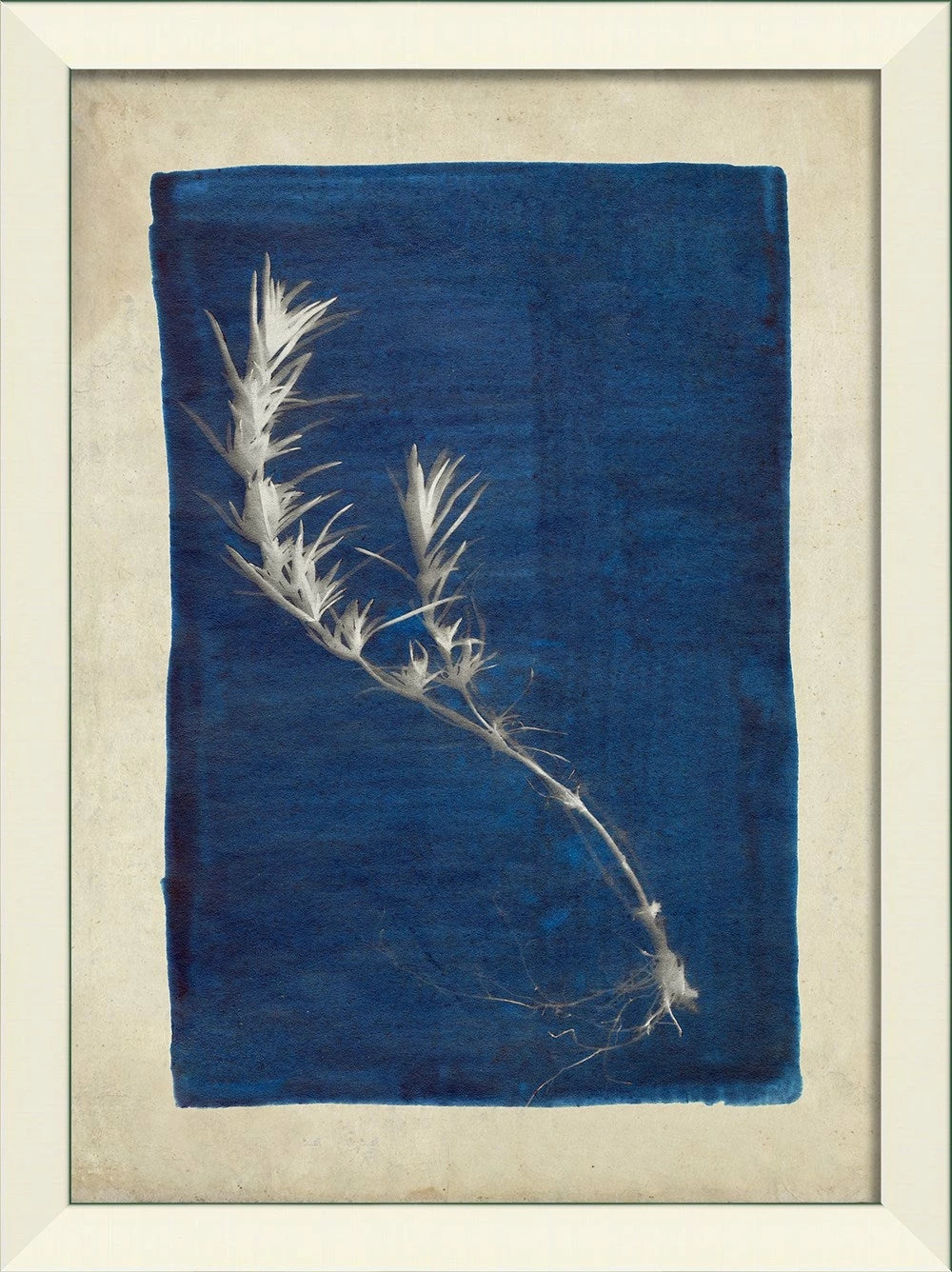 Plants on Blue Art Collection