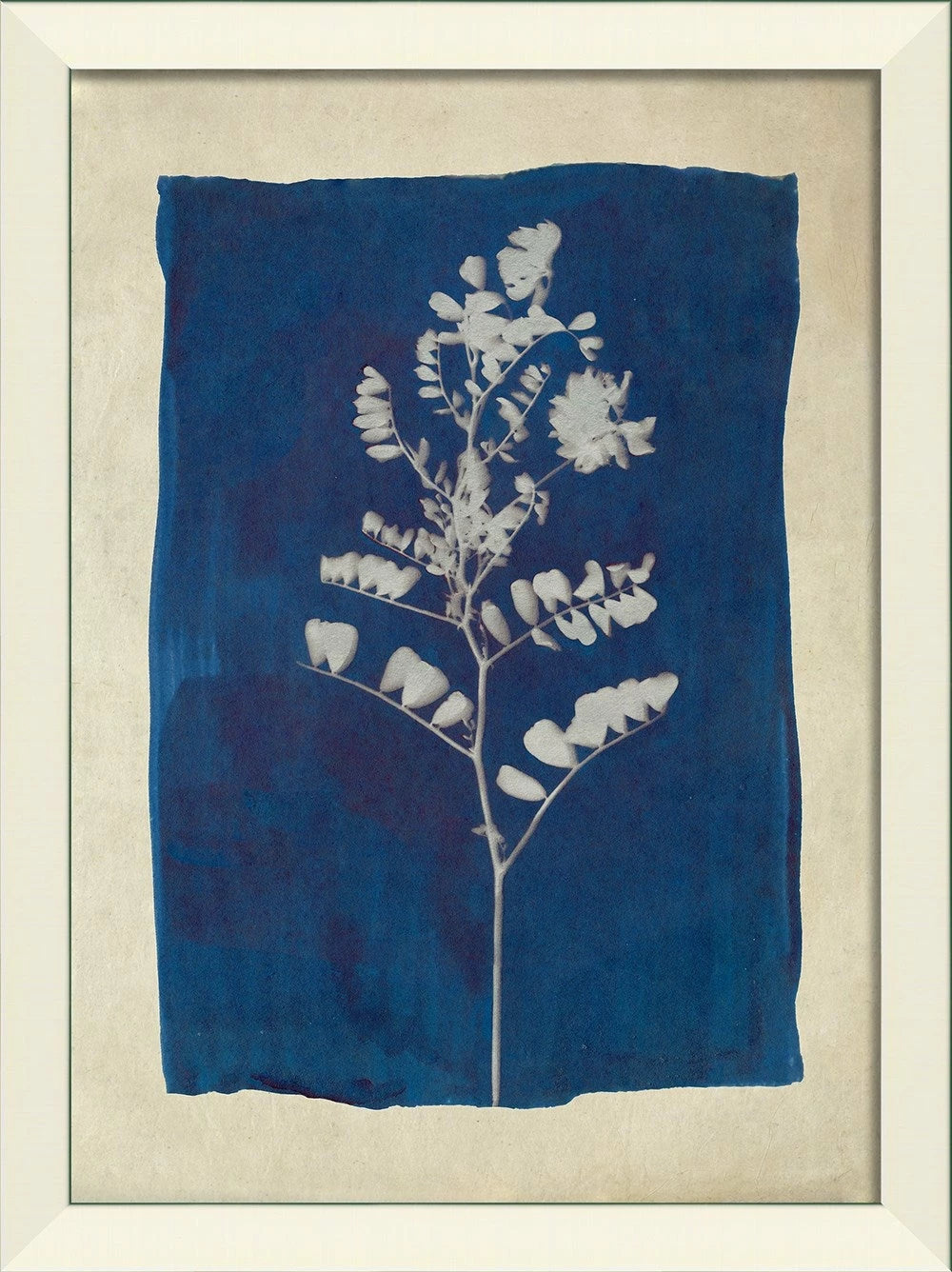 Plants on Blue Art Collection