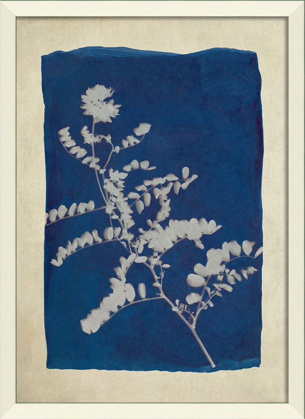 Plants on Blue Art Collection