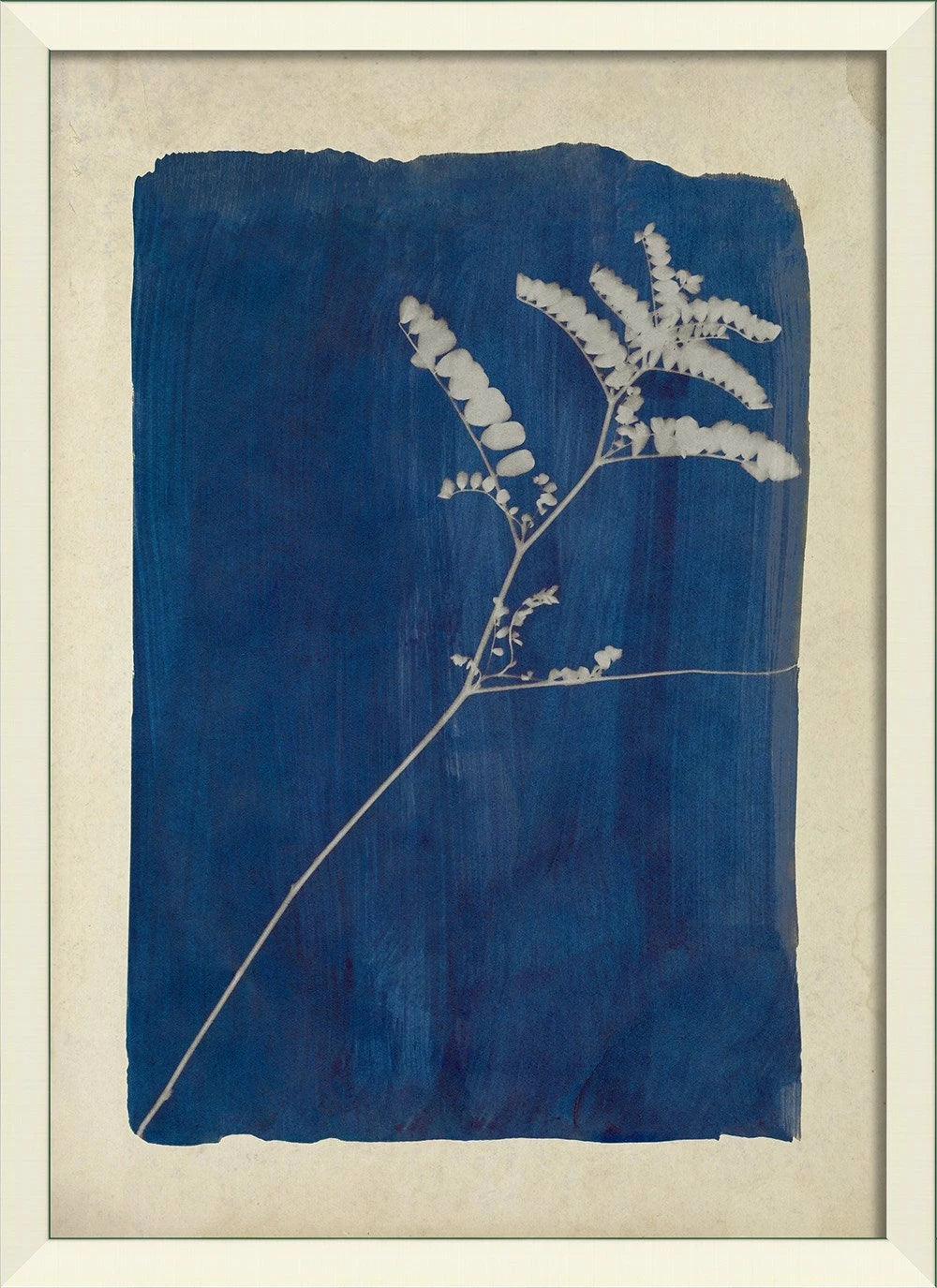 Plants on Blue Art Collection