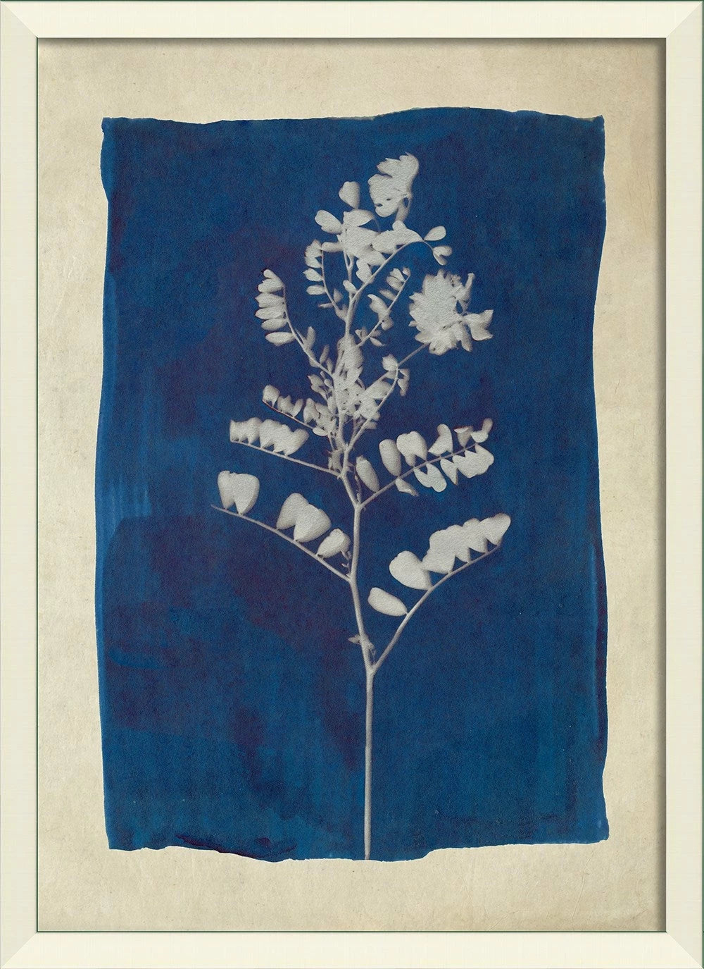 Plants on Blue Art Collection