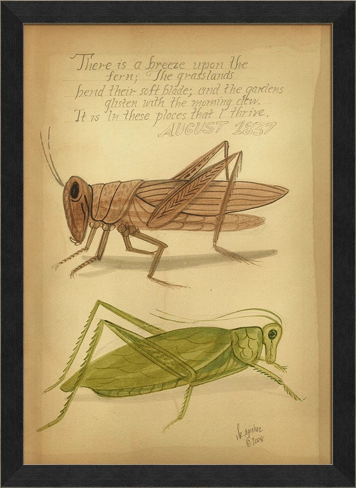 Grasshoppers 1837 Art - Signed Edition by Kolene Spicher | Vintage Natural History