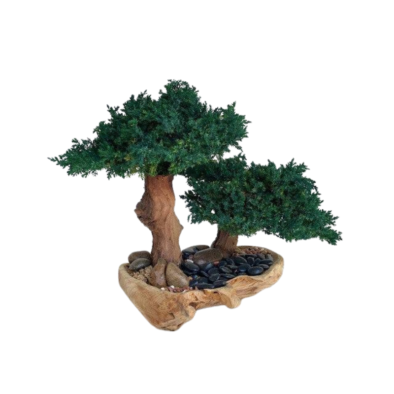 Double Bonsai in Wood Bowl - Preserved Bonsai - Interior Mojo llc