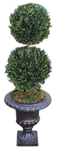 Boxwood Double Ball - Interior Mojo llc