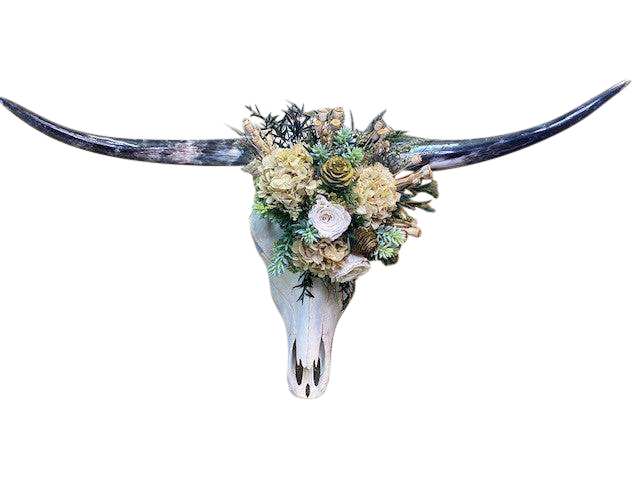 Long Horn Natural Skull w/ Florals - Interior Mojo llc