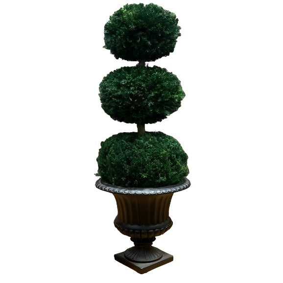 Triple Ball Topiary - Preserved Juniper Tree 40-60" - Interior Mojo llc