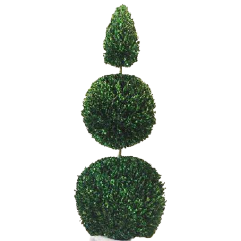 Double Ball Cone Topiary - Preserved Boxwood Tree 60 and 72" - Interior Mojo llc