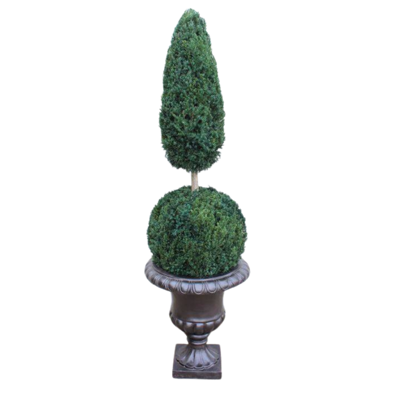 Ball and Cone Topiary - Preserved Boxwood Tree - Interior Mojo llc