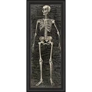 The Skeletal System Art Piece
