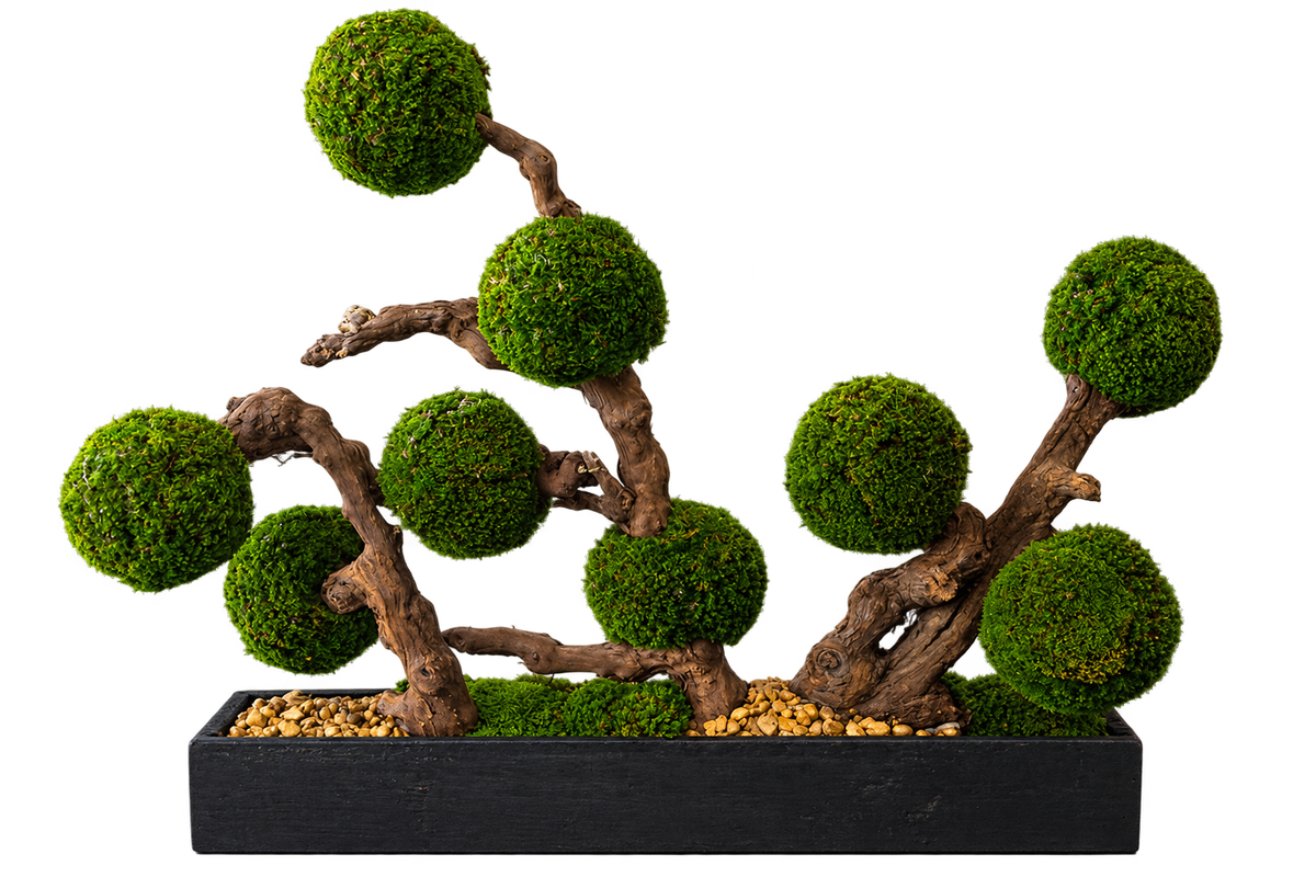 Moss bonsai cutout